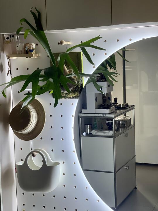 听说！养绿植是会上瘾的🌿