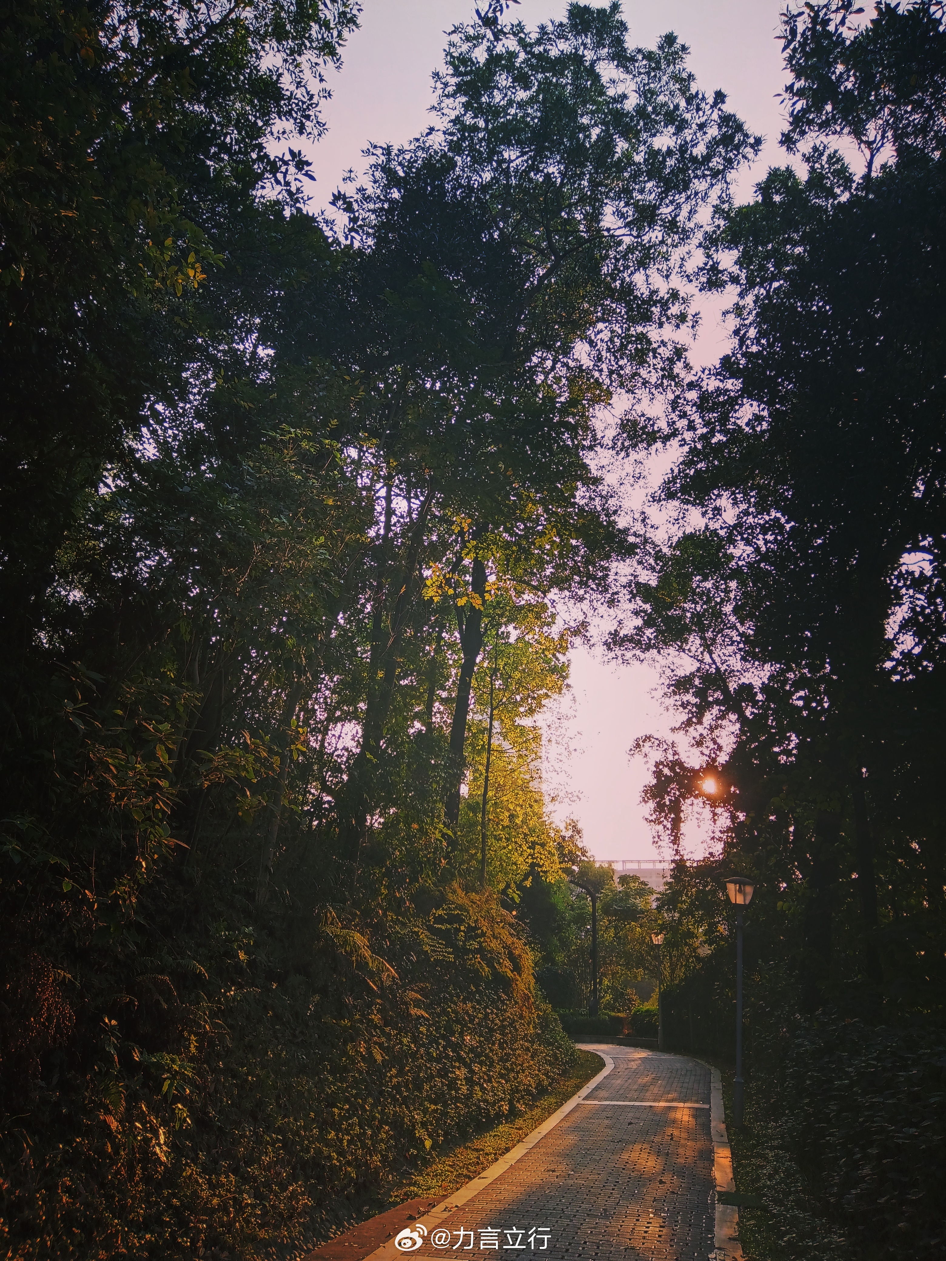 沿途，没有风景，只有心境；所遇皆所求，所见即所得。我的日常plog生活记录