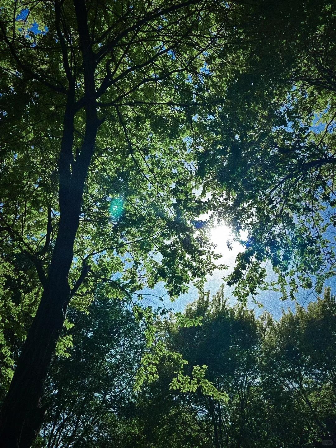 郭德纲曾说过：“人生在世，跟谁较劲，都是在跟自己较劲，高高兴兴比什么都强。”
