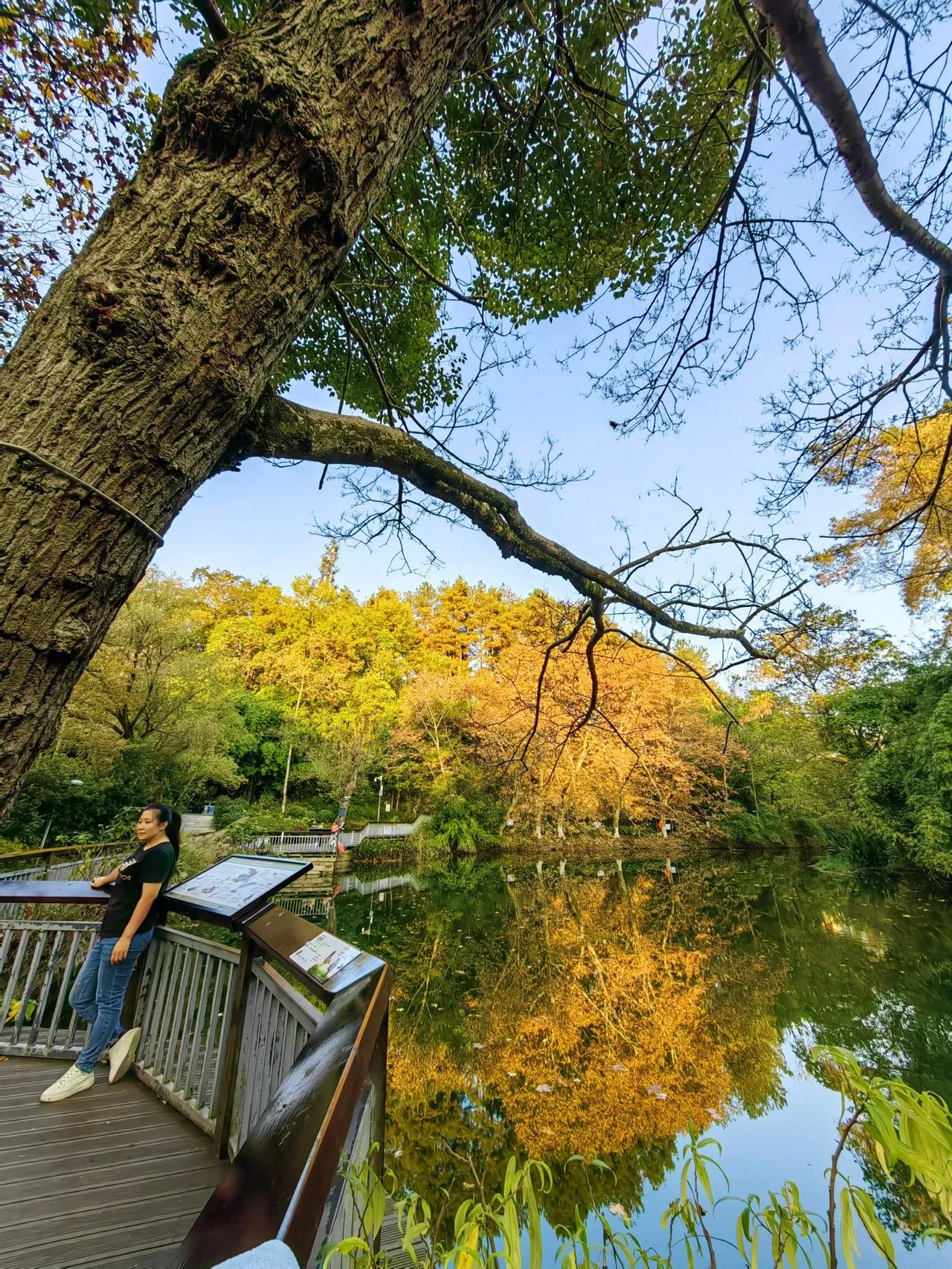 随手拍一张你所在城市的蓝天