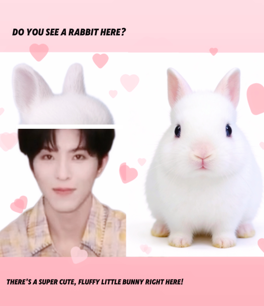 你༶看༶到༶我༶的༶🐇了༶吗༶ 