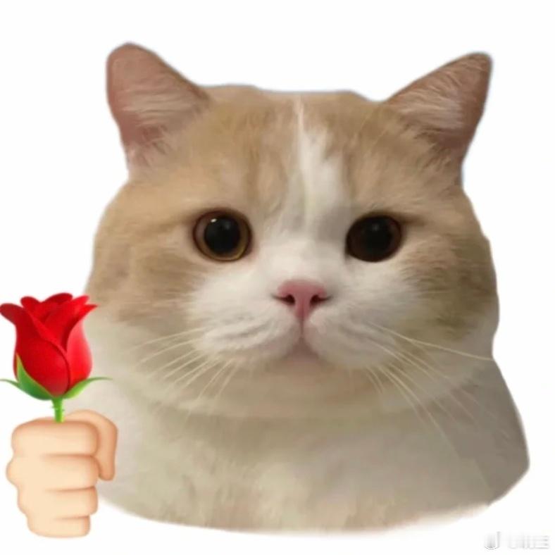 昨儿学员说，自己找咨询做了两三年了为啥不爱做长期包月了呢，因为之前找了个姐，说是