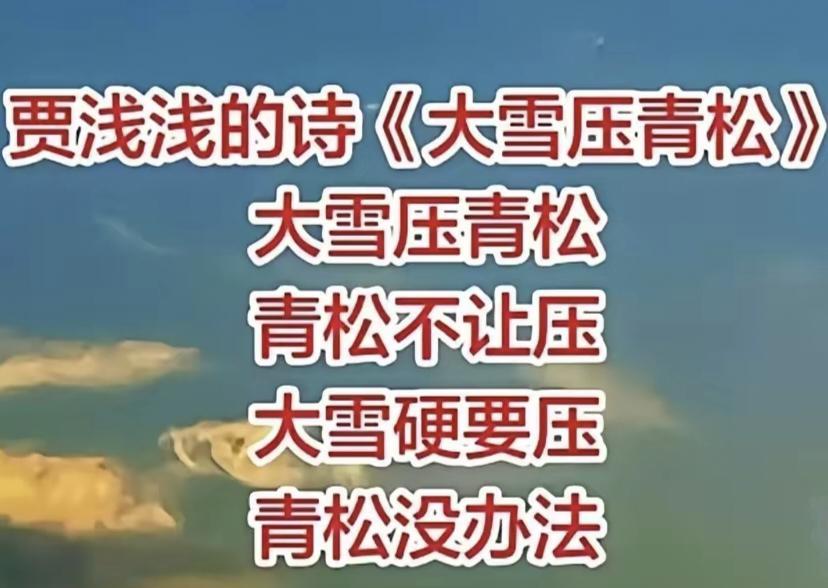 一首短短的诗，却在新媒体、学术、表演和课堂中引发了火热讨论。
贾浅浅的《大雪压青