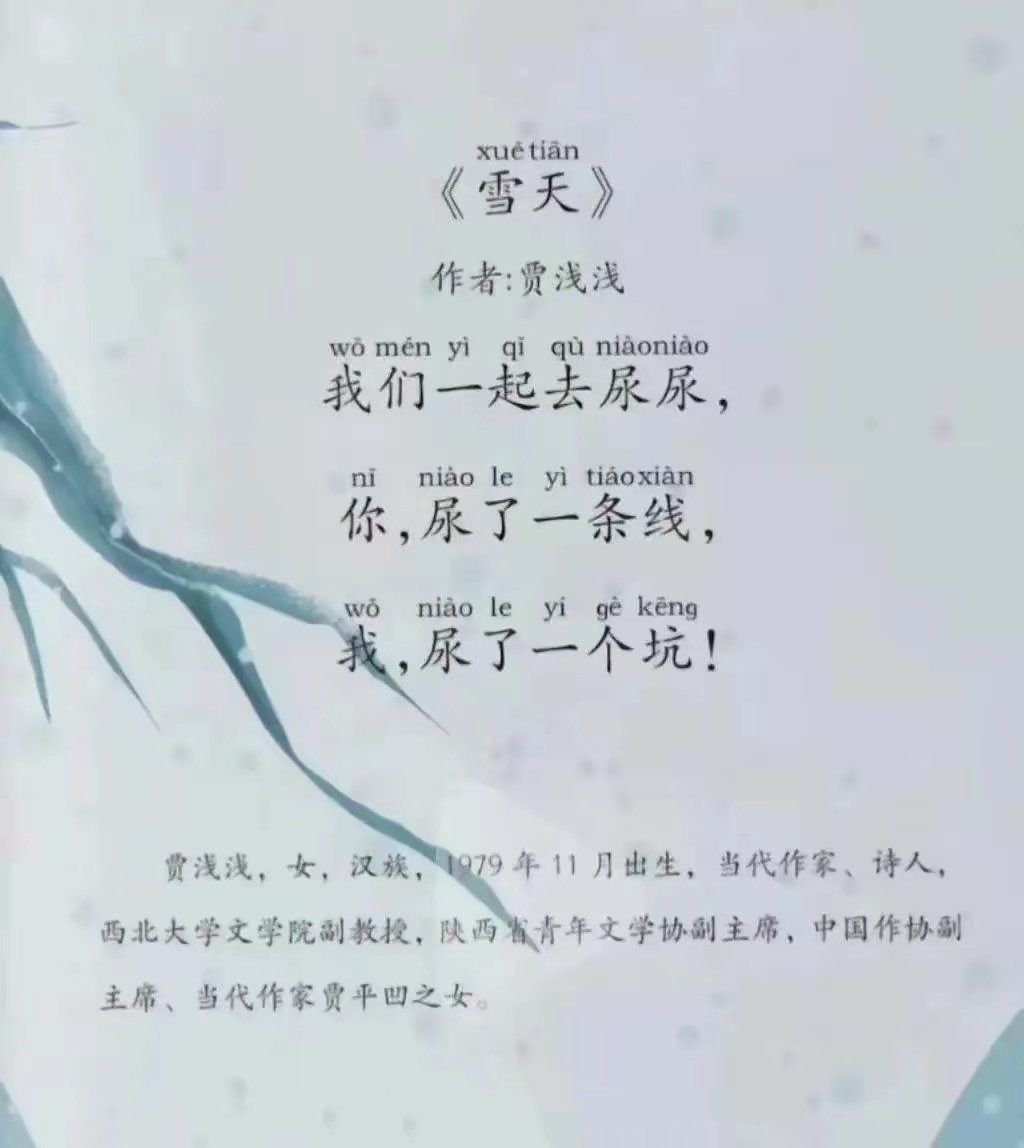 西北大学通报关于贾浅浅涉嫌学术论文抄袭等问题，撤销她的学位，撤销教师资格！披着女