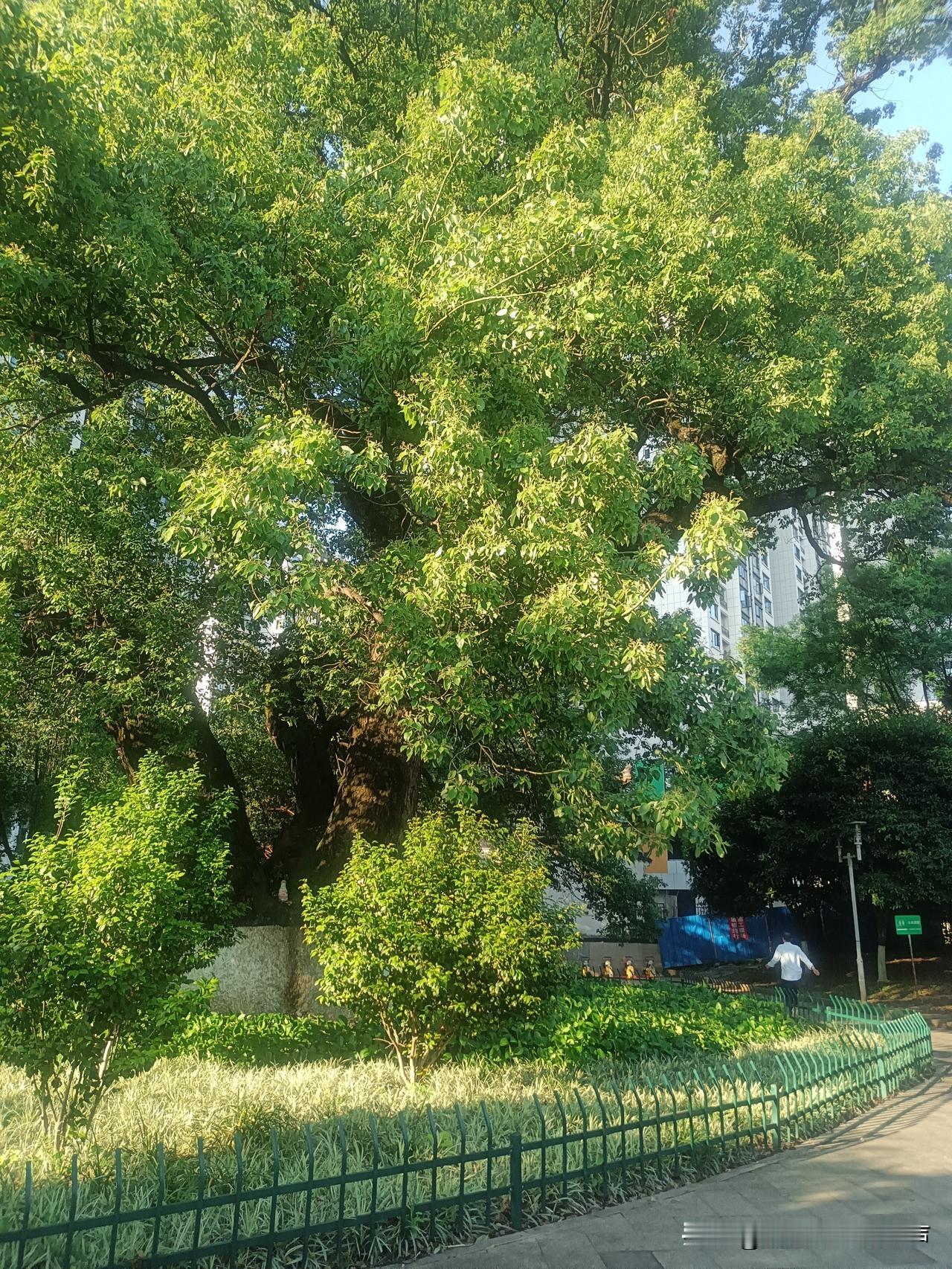 炒股要学会熬，要有信仰才行！

人生的路从来没有一帆风顺的，坎坎坷坷才是正常的。