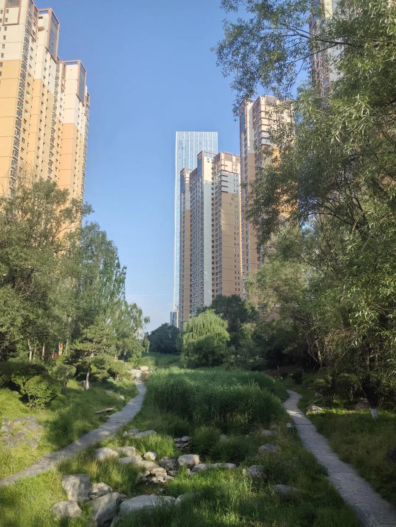 牛散张素芬的故事：从20万到16亿的“低价股坚守者”

张素芬是A股市场极具辨识