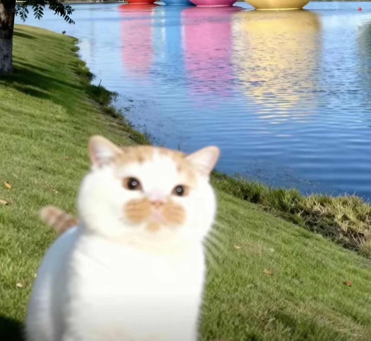 咋办我就真的真的很喜欢两个女五一。。在我的世界里一可以是两个人。 