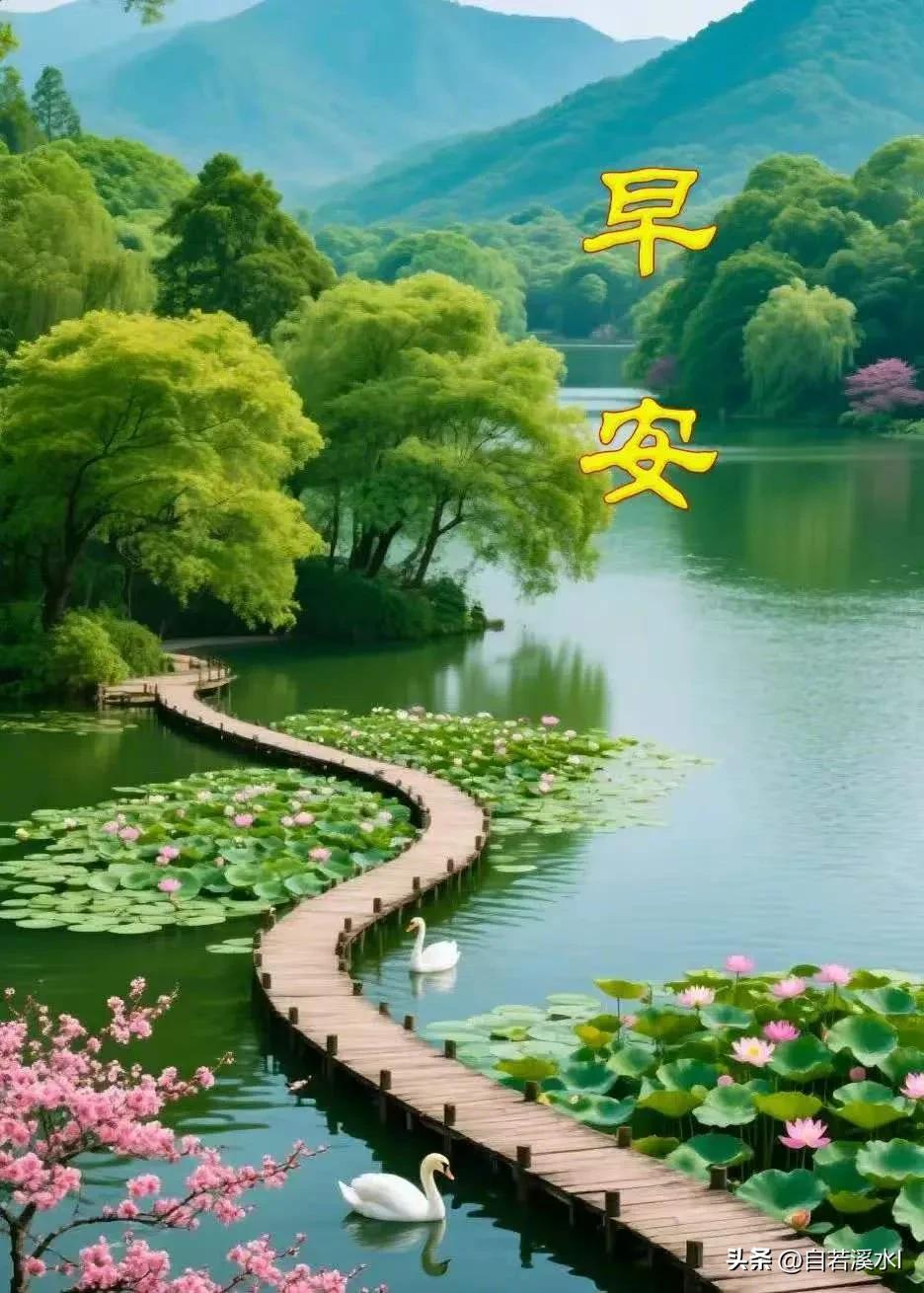 好好迎接清晨，认真生活，保持温柔与勇敢，今天也要闪闪发光。