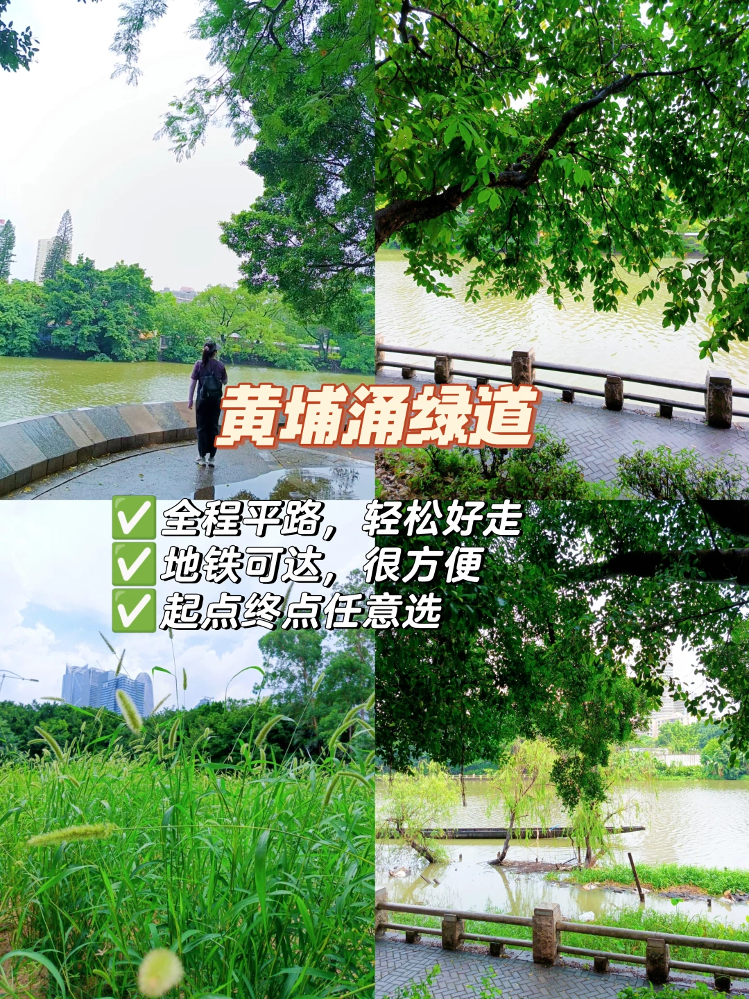 黄埔涌绿道|很舒服的广州市区轻徒步路线