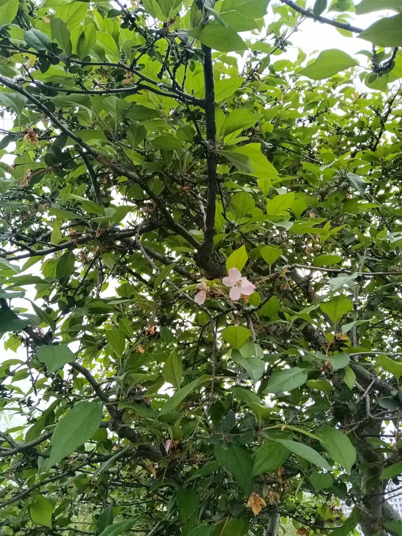 能稳赚吗？

朋友分享他的炒股方法。他只有五万本金。但他说他能保证稳赚不赔！
