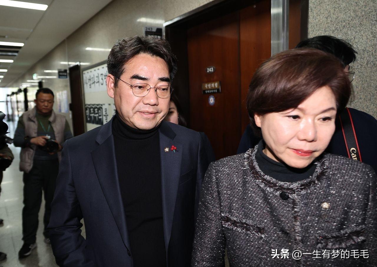 3月5日，韩国国民力量党少壮派团体“替代与未来”与党领导层会面后宣布，停止围绕“