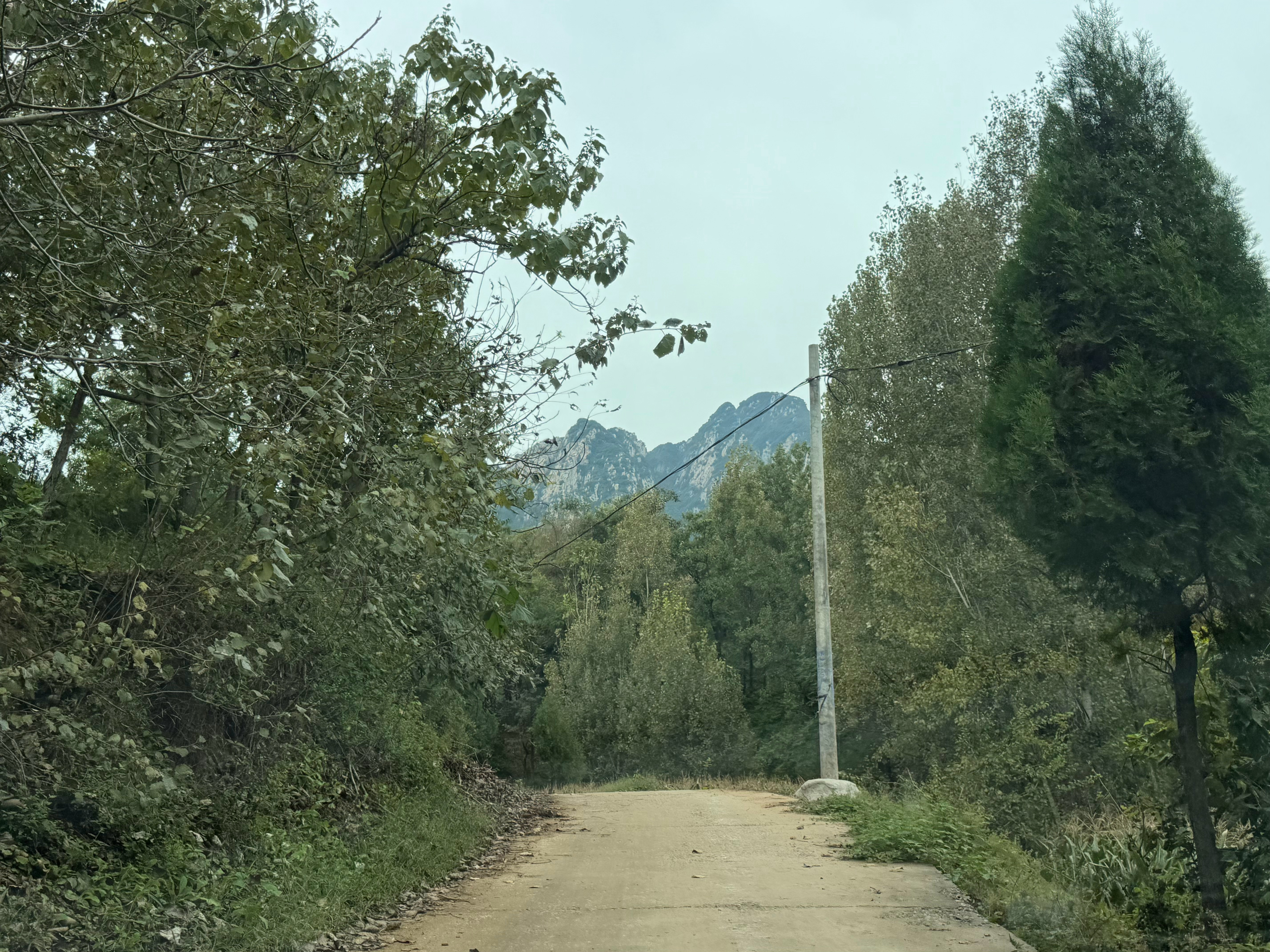 发朋友圈要有滞后性我一般都是短则一个月后或者半年后才发。[二哈][二哈][二哈]