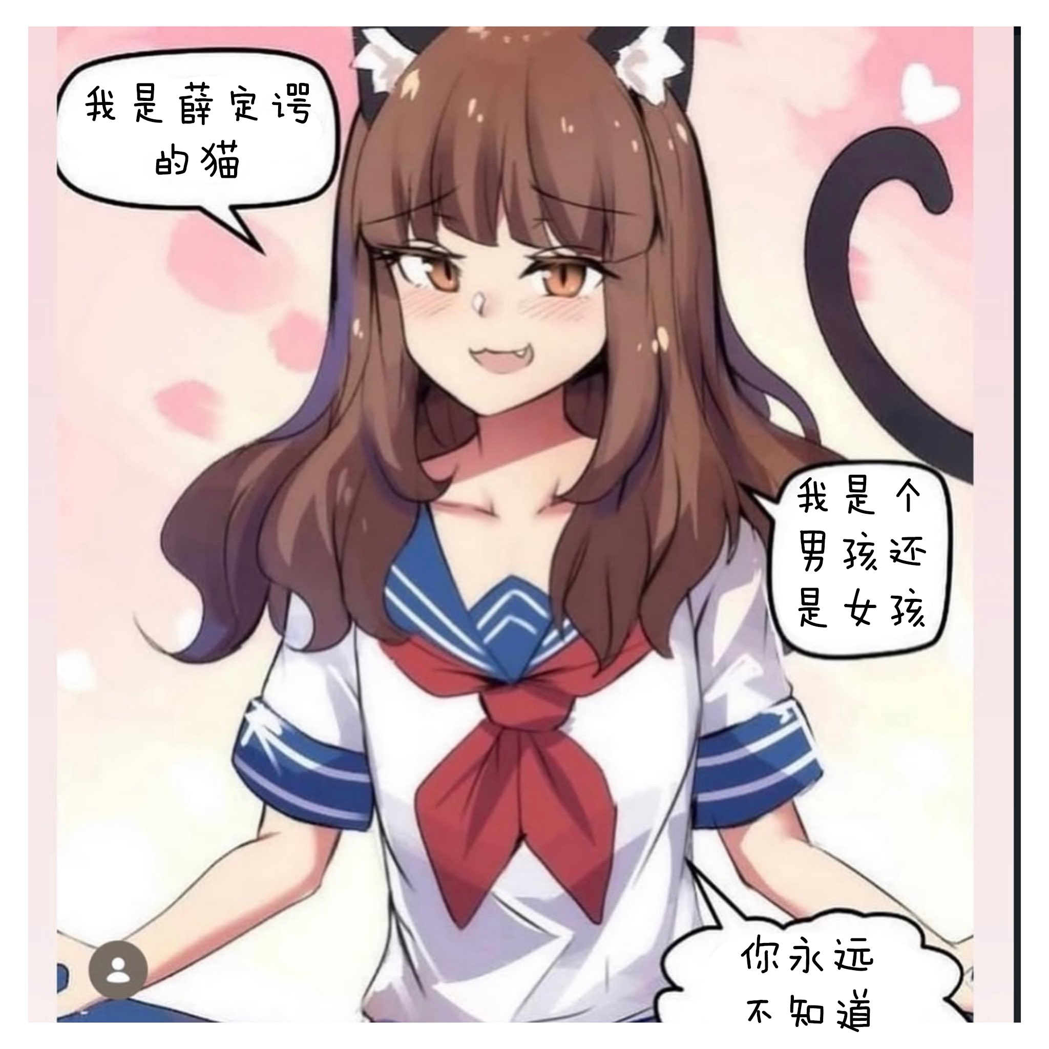 薛定谔先生，请让你的猫闭嘴，它整晚都在背诵莎士比亚的to be or not t