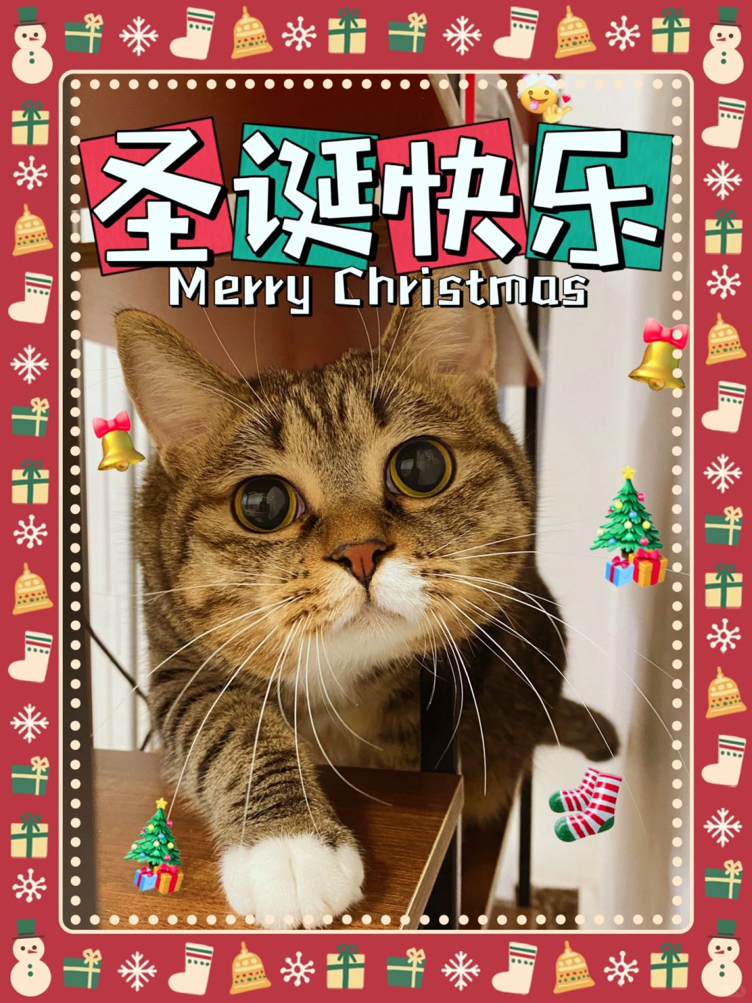 祝你每天都快乐 不止今天 明天 后天
