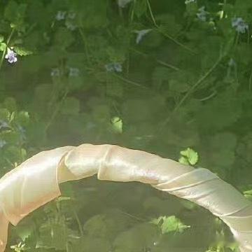 每日一善  晨曦洒向山川，蝴蝶破茧于繁花间，海浪轻抚金沙，雄鹰掠过苍穹，万物生长