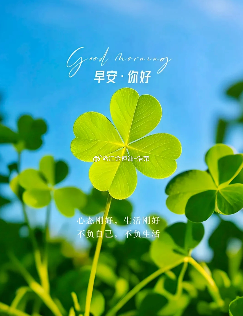 周一 早安！时间是公平的土壤，你投入的每一分专注，都会在未來结出果实。新的一周我