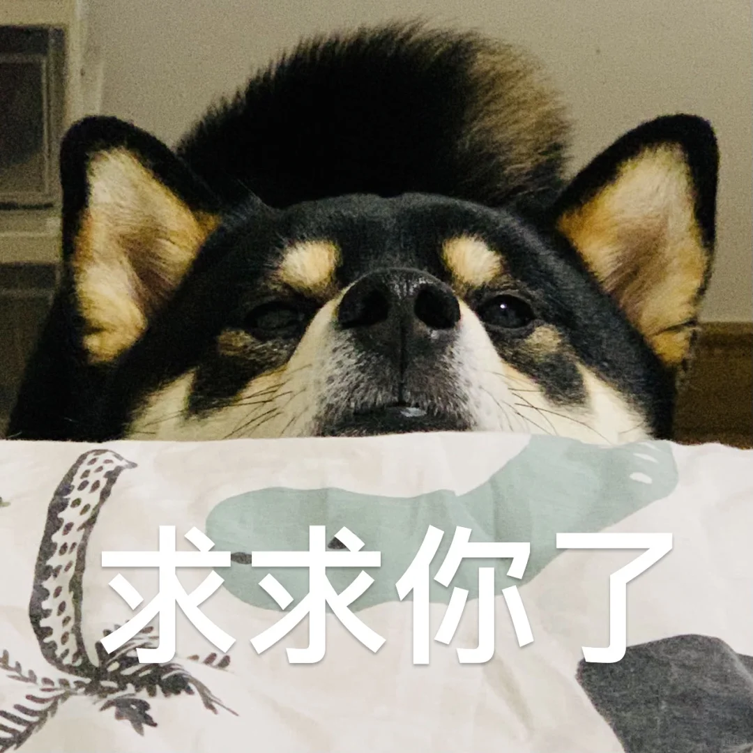 柴犬表情包