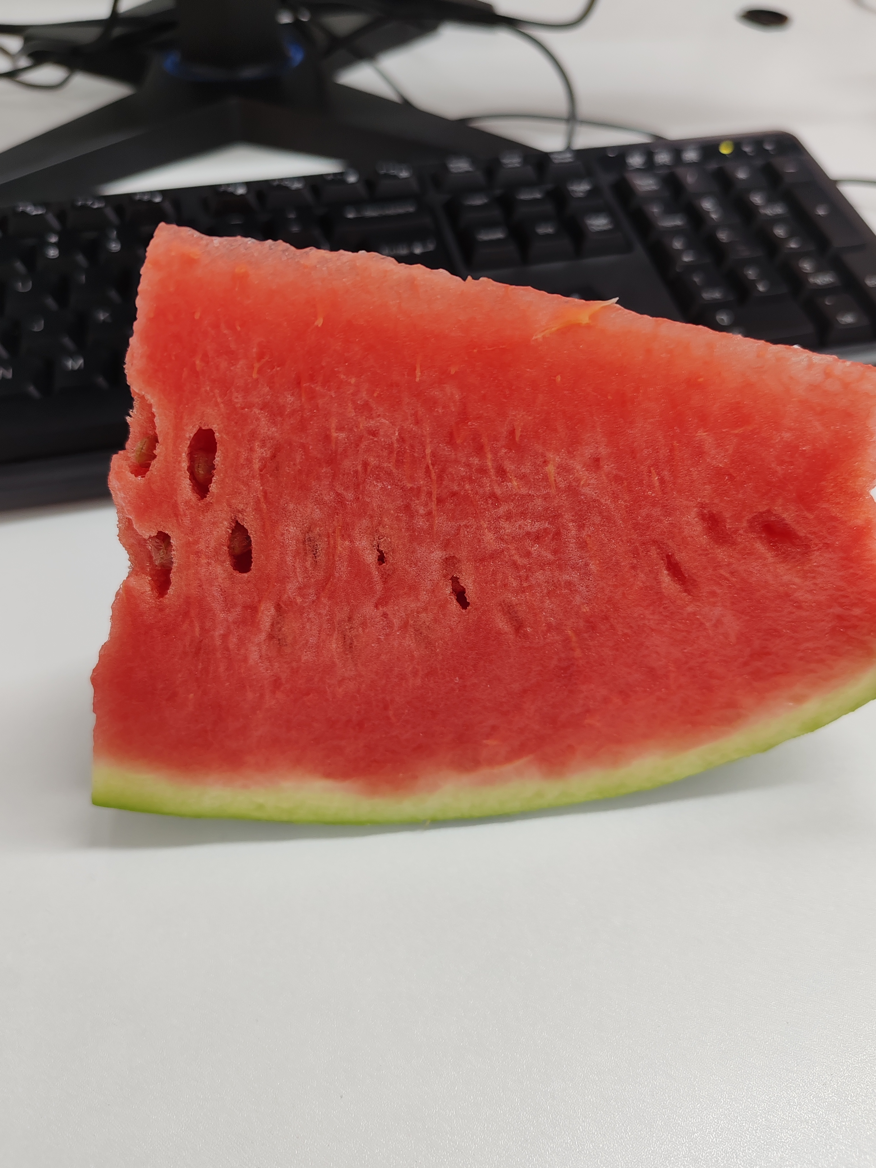 公司发西瓜🍉  专栏 · 山茶日记