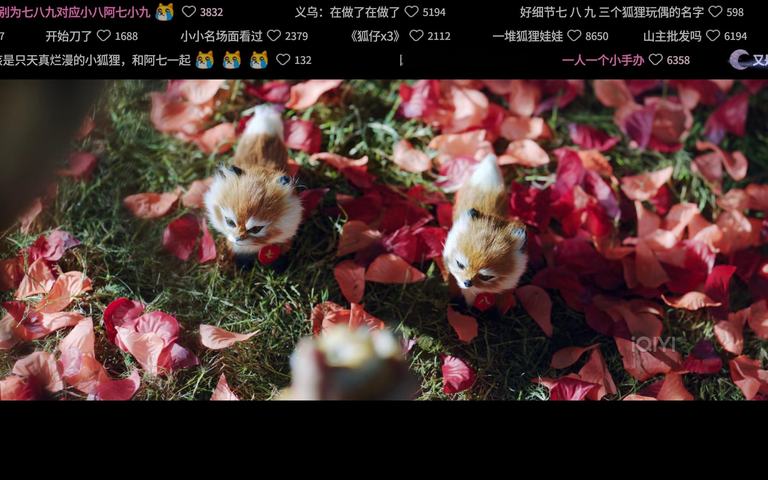 最近忙着溅射没有看白月梵星，今天接着看哭死我了😭😭😭😭😭😭 