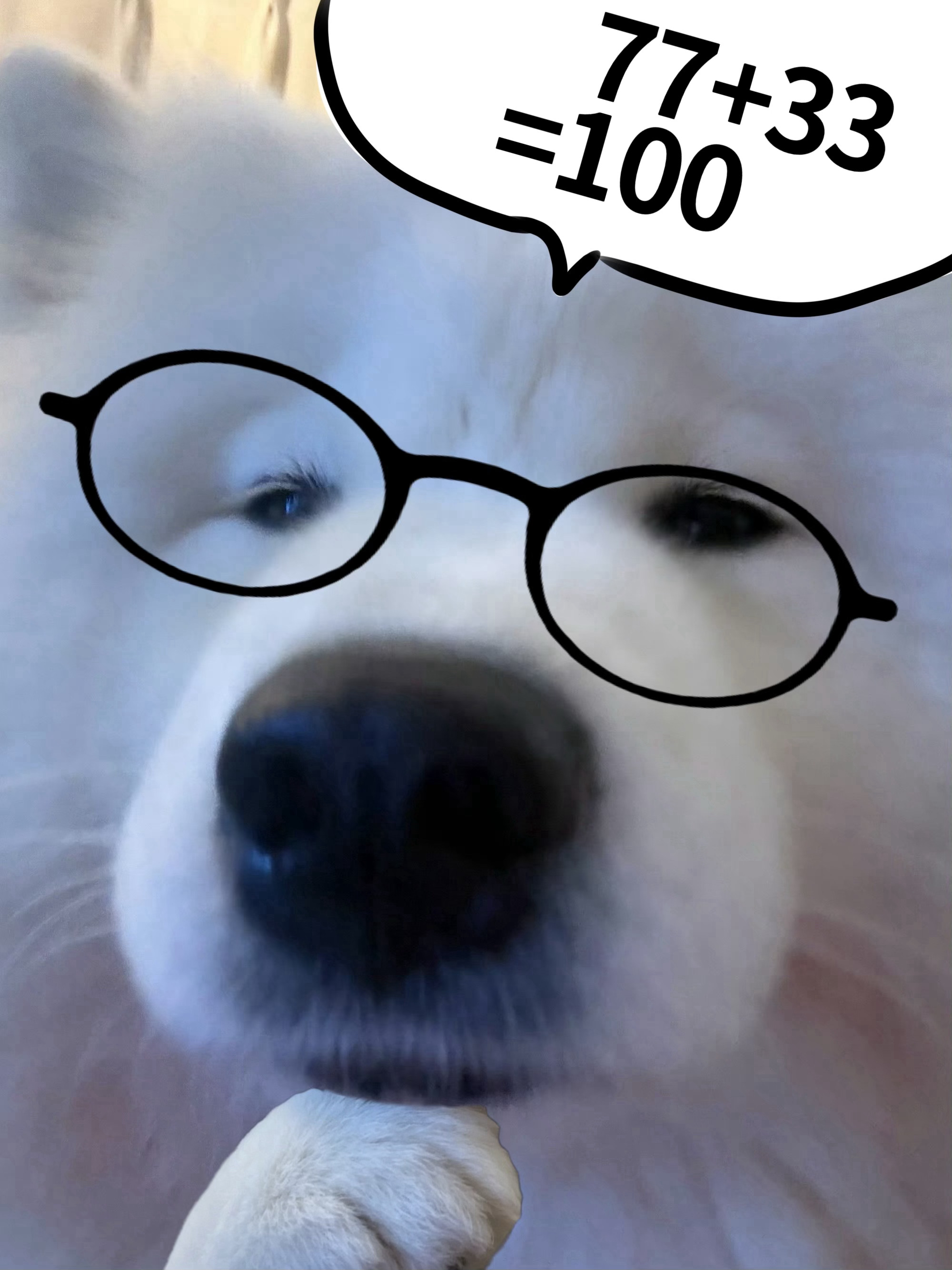 分享图片 