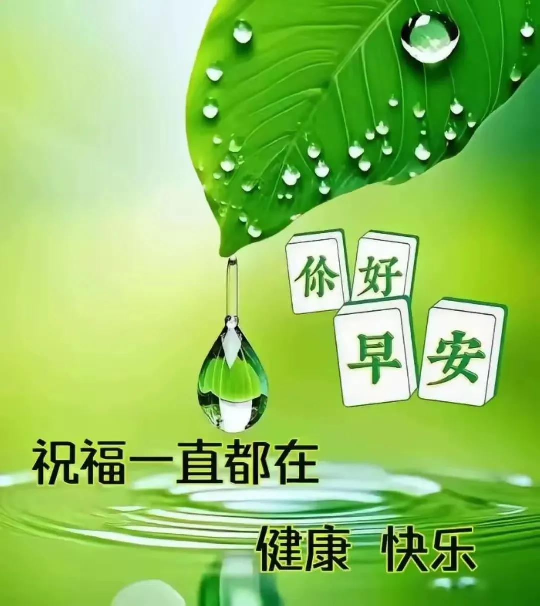 清新绿色，健康祝福，快乐每一天！💚🍃