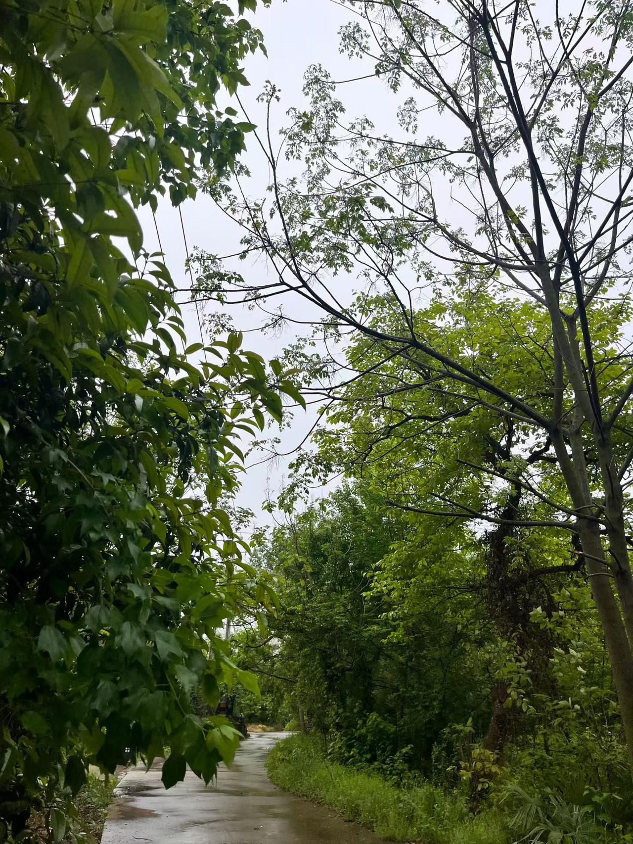 ☀️
美好的一天开始啦！

心若向阳，无惧远方，你付出的每一分努力
都会在未来悄