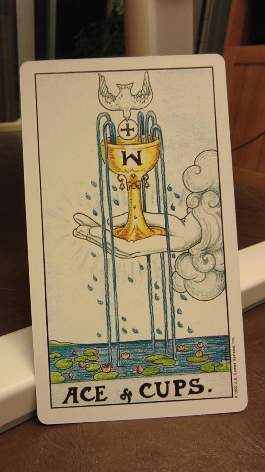 最近明白的是，你应该充分全然地为自己心碎，而不是打着善良的幌子，四处寻找可以被同