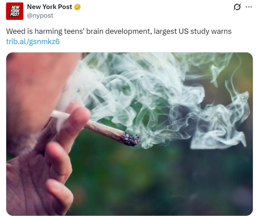 美媒：一项新研究发现，大麻（毒品）对青少年大脑发育有严重损害。而在纽约就有五分之
