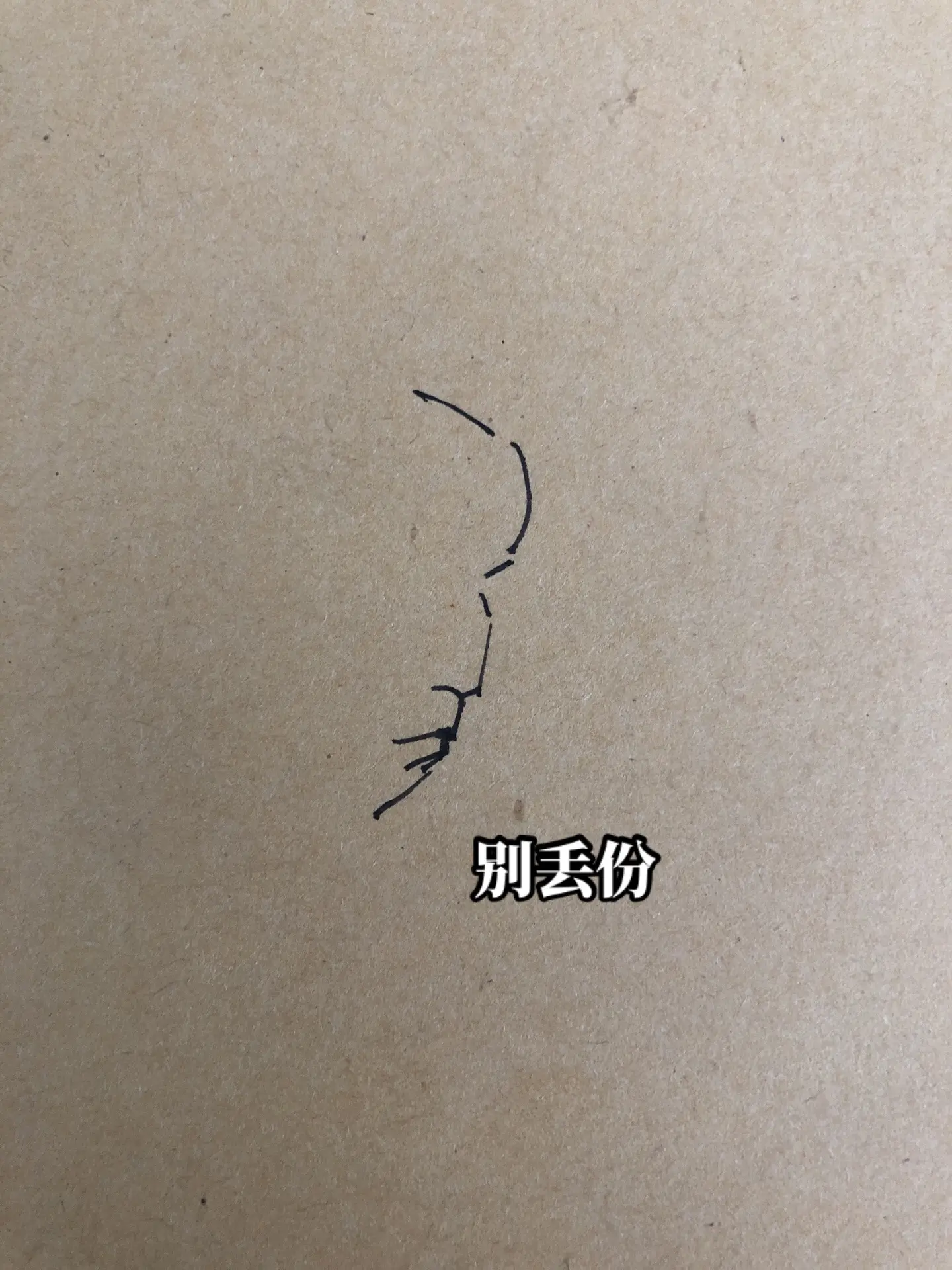 精灵副将马国成。大清画画