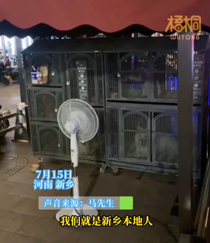 【，顾客：它的成功是有原因的】7月15日，河南新乡。一男子逛胖东来出来时发现宠物