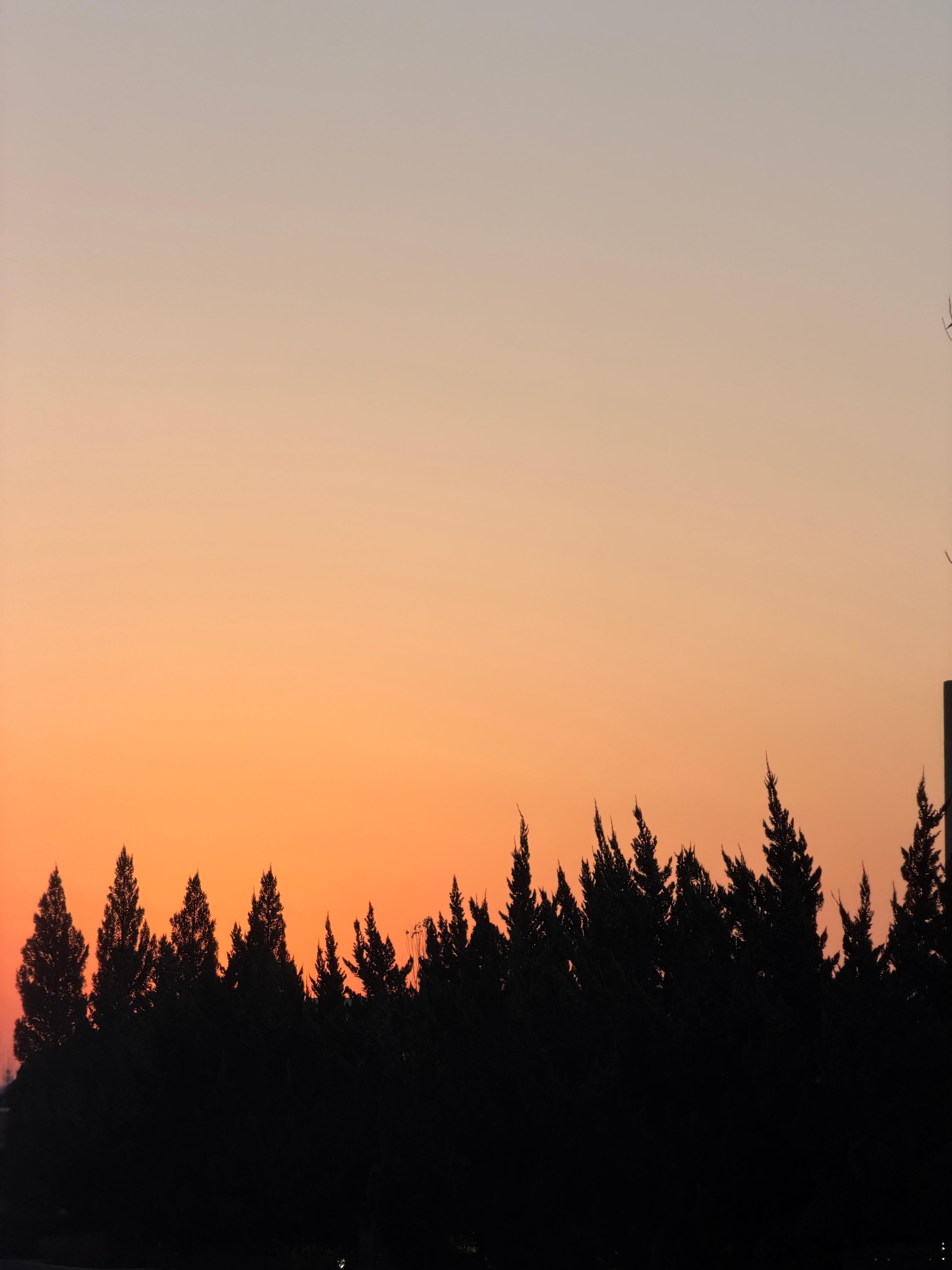 你怎样面对生活，生活就呈现何等色彩。好梦~~~ 