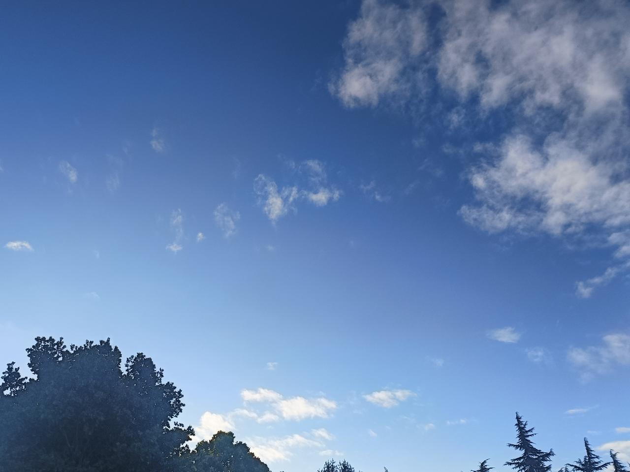 龙应台说：所谓父女母子一场，只不过意味着，你和他的缘分就是今生今世不断地在目送他