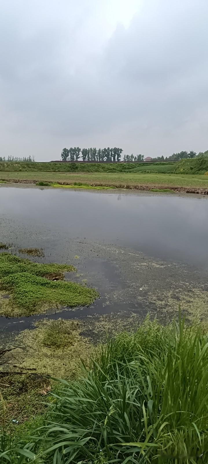 成年男人最大的魅力就是解决问题的能力。老实的男人让你有苦说不出来 大家还都觉得你