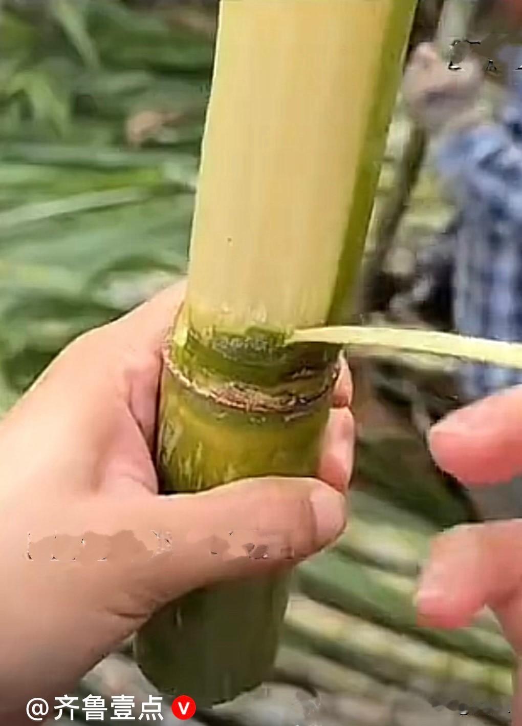 商机无处不在，就看你动不动脑
筋，这才叫聪明，高！实在是高……
    浙江杭州