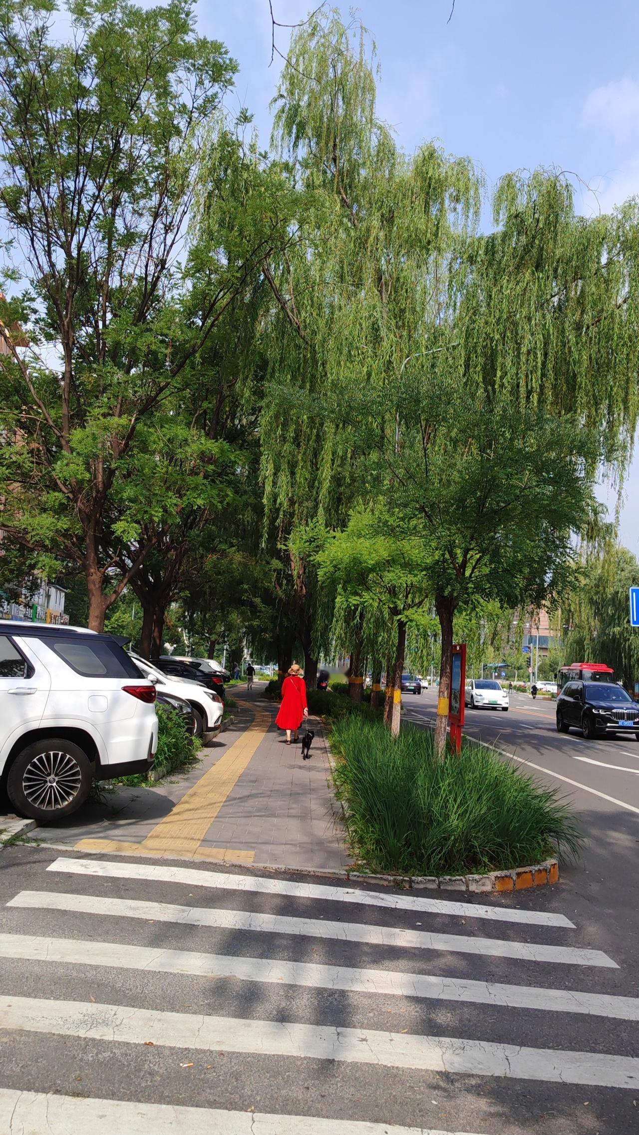 萤火微光：夏夜萤火，光芒微弱，却执意点亮自己，不为照亮整片森林，只为不负此生。《