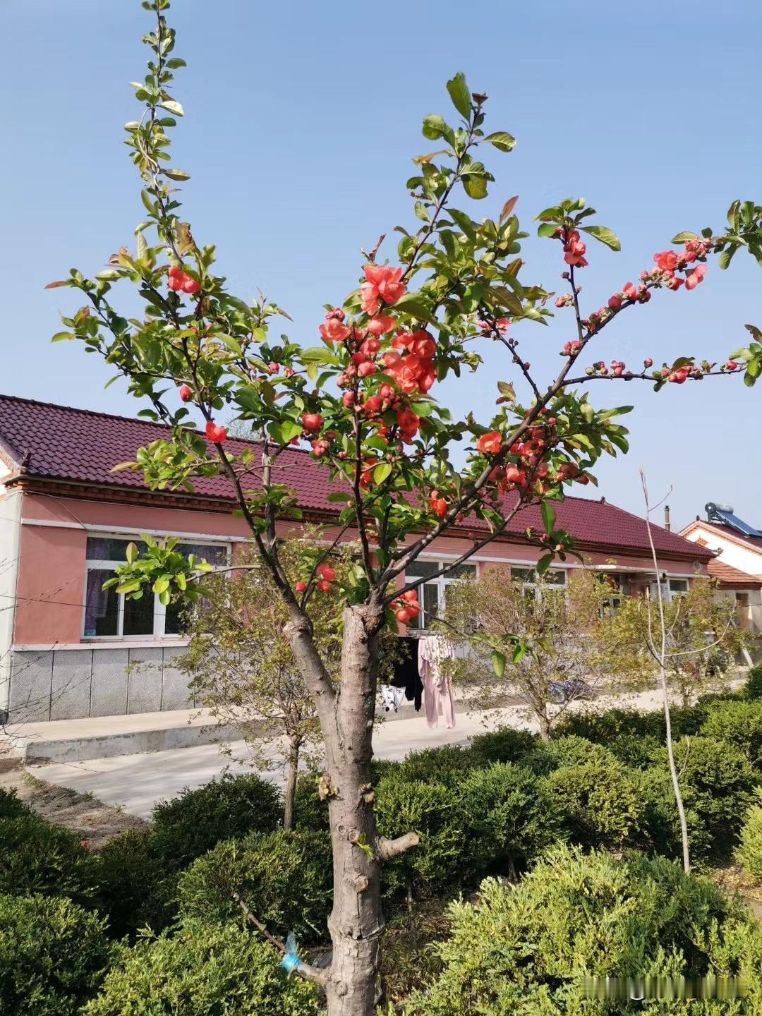 你认为农村发展最缺的是什么回答，我认为缺人，缺有技术懂管理的年轻人，缺可以踏踏实