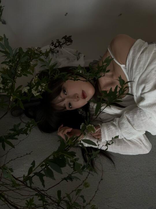 🍃绿意中寻找我的灵魂