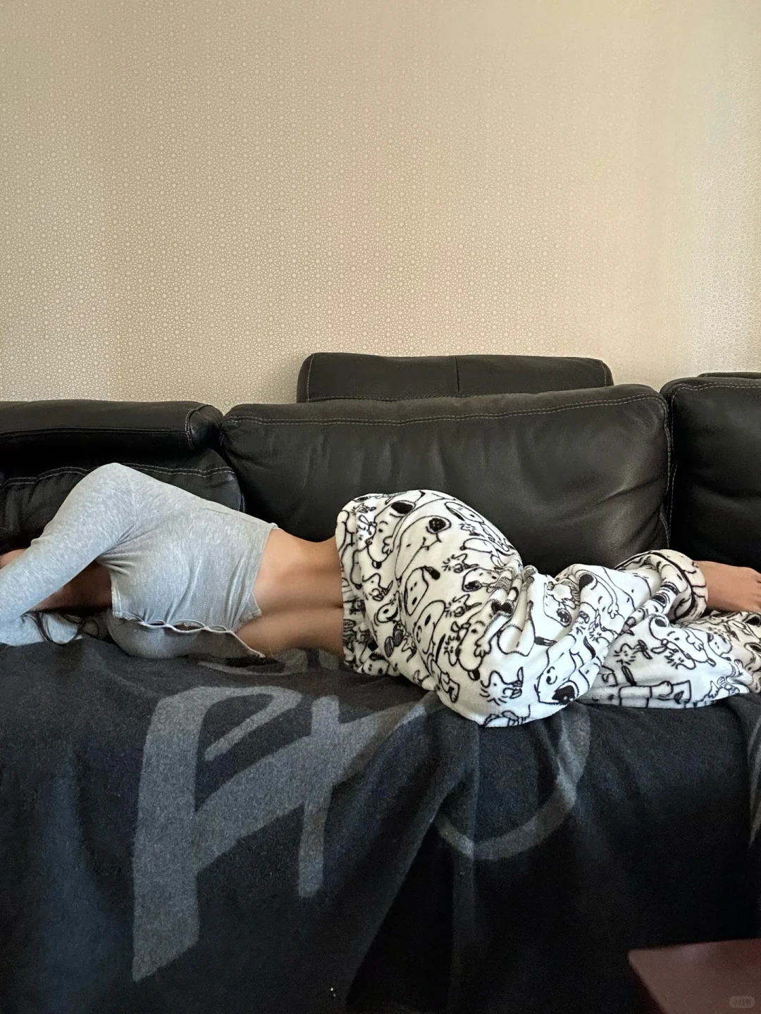 窝在家里的懒散时光
