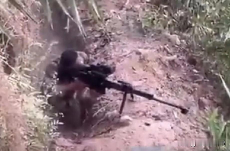 柬埔寨军队与泰国军队武装冲突中，出现一款非常熟悉的重型狙击步枪。
特别是哪个瞄准