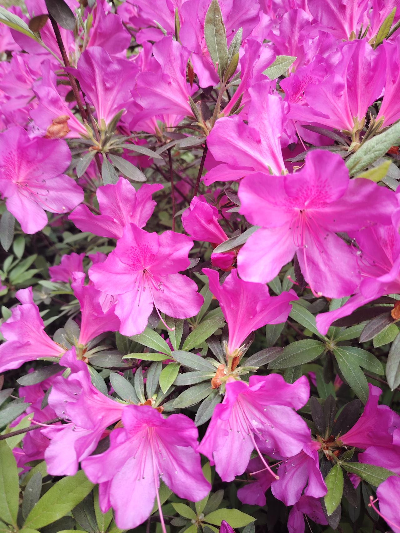 解决孤独的最好良药是什么解决孤独，最好办法不是找人聊天，因为言多必有差。也不是找