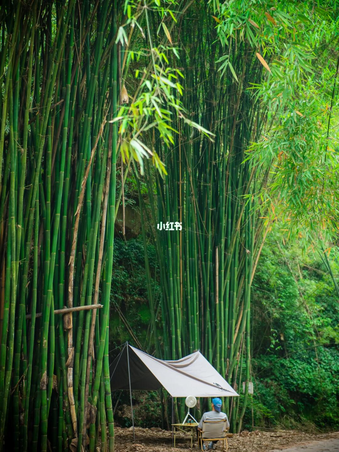 成都冷门竹海|露营徒步听风声，附攻略