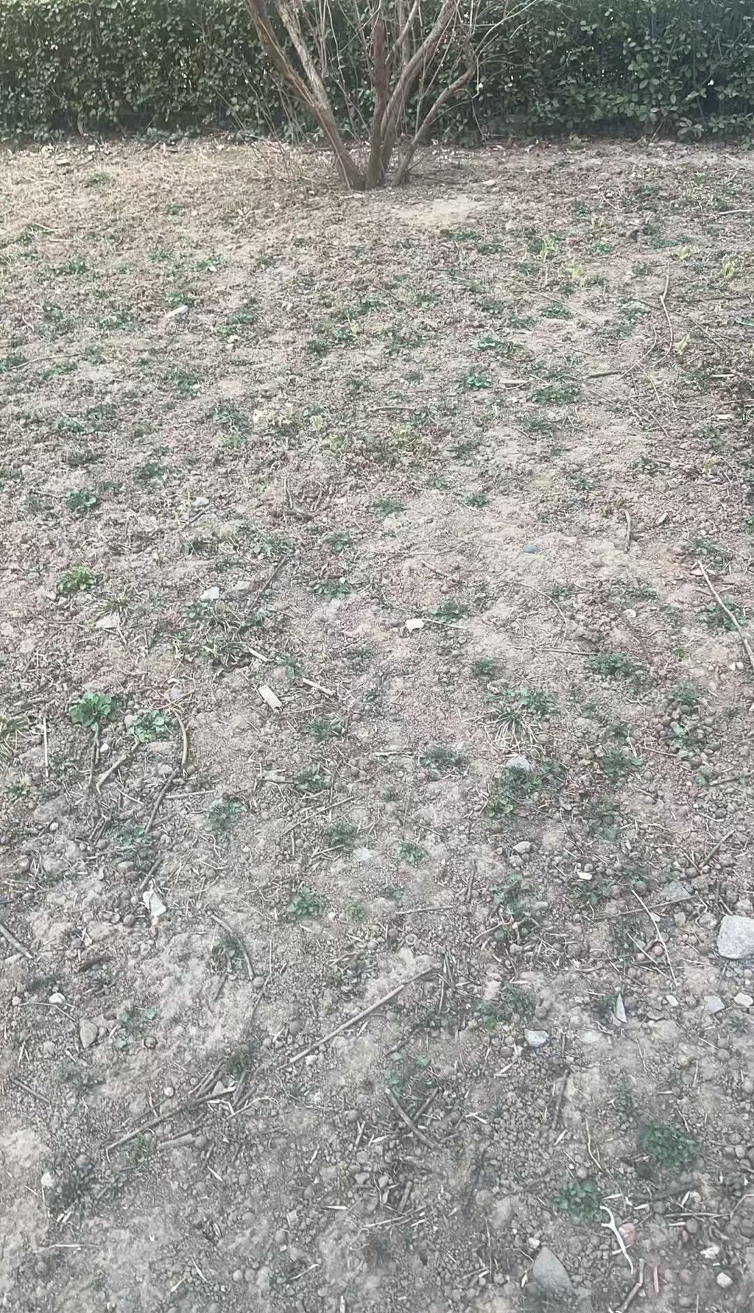 “3月12日，晴天有风，早上7点上班，下班后一直在家里洗洗被罩，洗洗衣服，戴着手