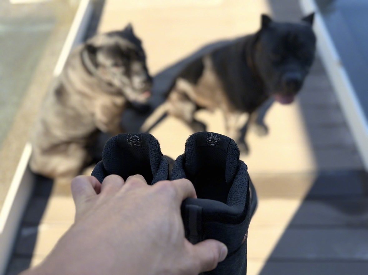 Nike BOOK 2「Haven & Hector」 🐾布克 BOOK 2「