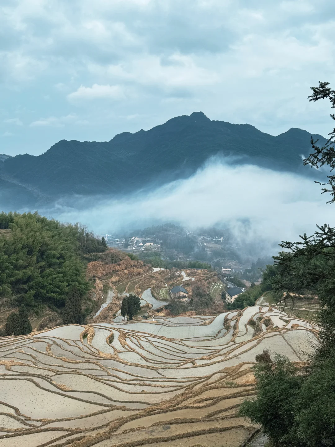 云和梯田灌水了，快去吧！云海超级出片的