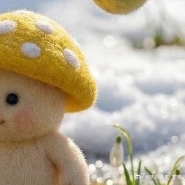 阳光信用  ☀️☘️阳光信用 【hu动指路 不吞必hui 不带🔗 勿带hui字