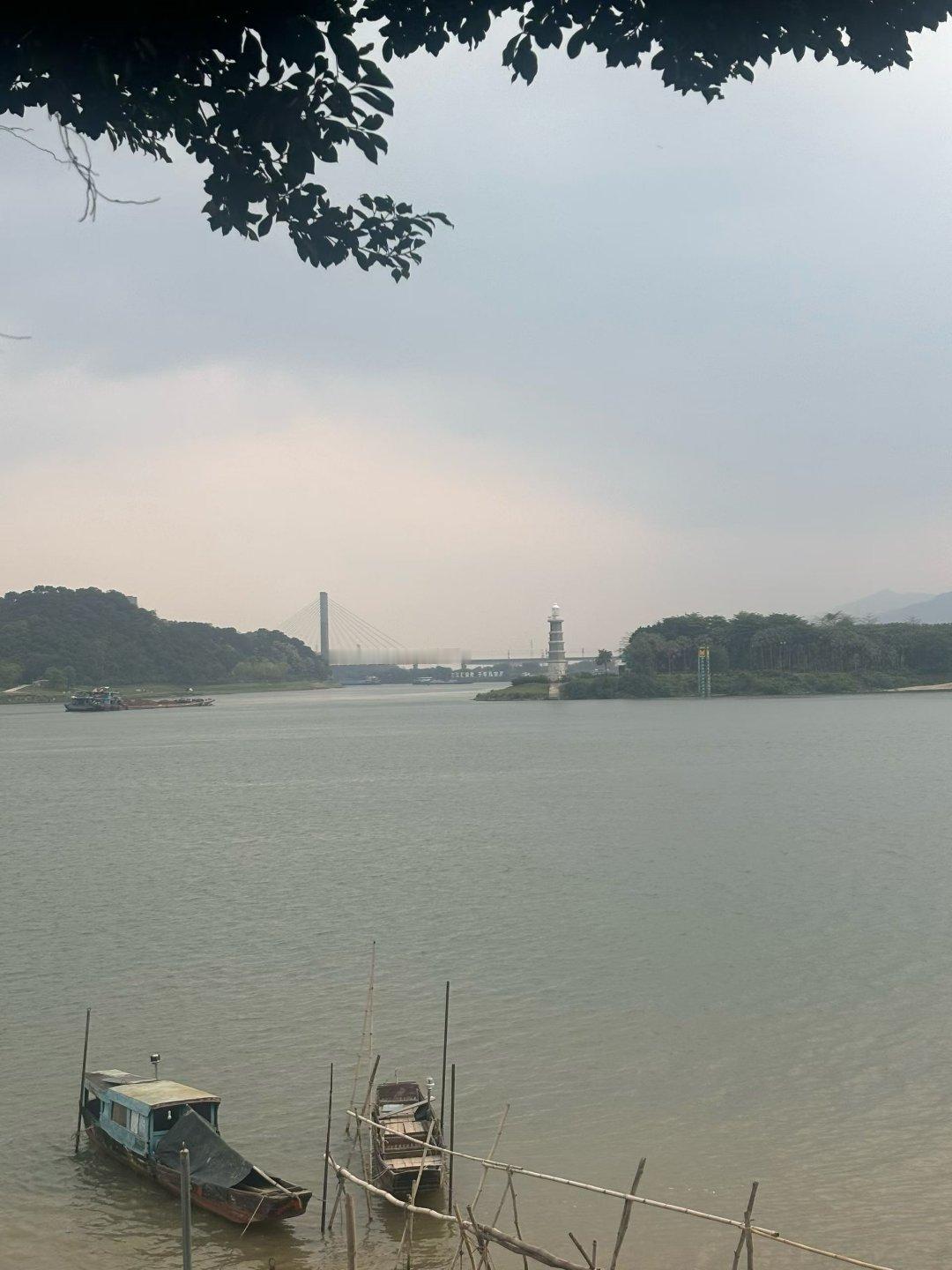 上午有点忙暂时不看行情下午见！ 