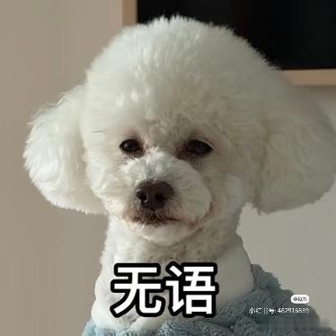 涂毓麟 美斯😎哥！我好久没出镜了！ 