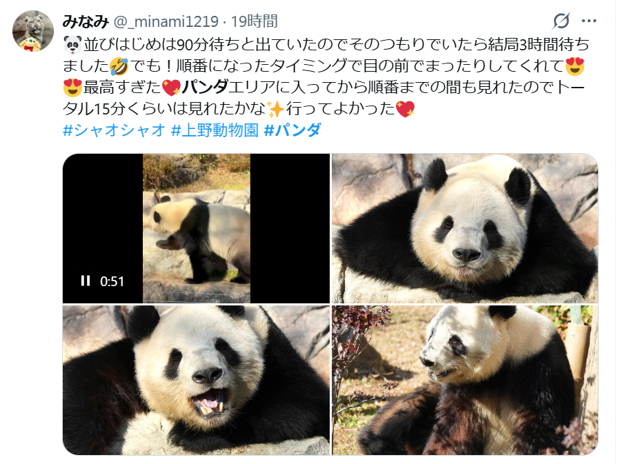 日本现在还有2头熊猫，1月份回国，现在去看要排3个小时队 