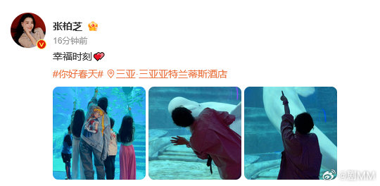 张柏芝幸福时刻 听说是张柏芝在三亚看到了海豚，还带着娃一起互动，这种亲子时光加上