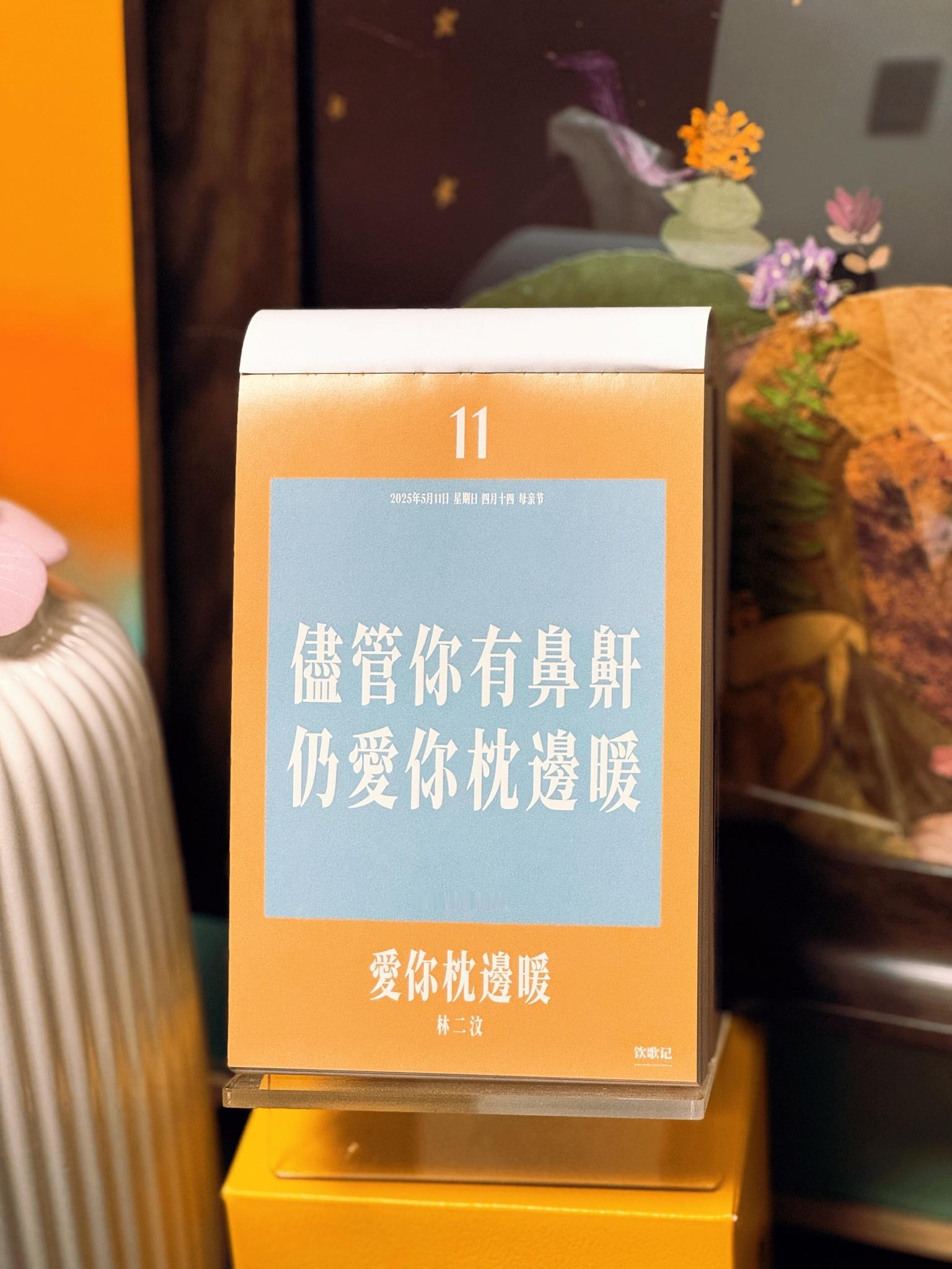 儘管你有鼻鼾仍愛你枕邊暖—— 林二汶《愛你枕邊暖》 ❤️ ​​​
